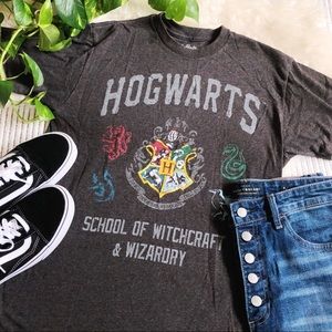 Harry Potter Hogwarts Houses Varsity School Tee